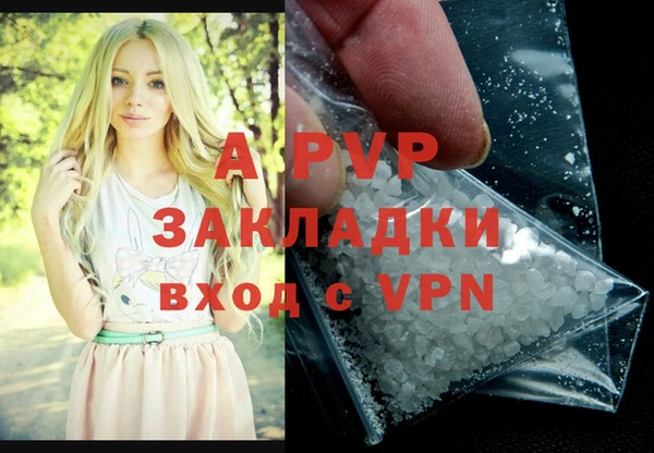ECSTASY Белокуриха