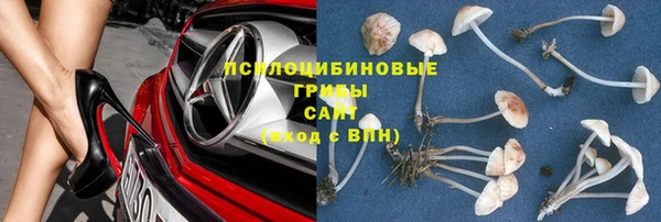 ECSTASY Белокуриха