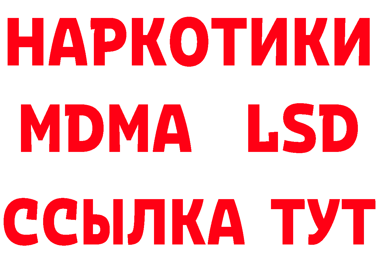 Альфа ПВП СК ТОР площадка гидра Гусев