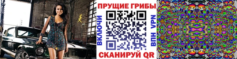 дарнет шоп  Гусев  Галлюциногенные грибы Psilocybe 