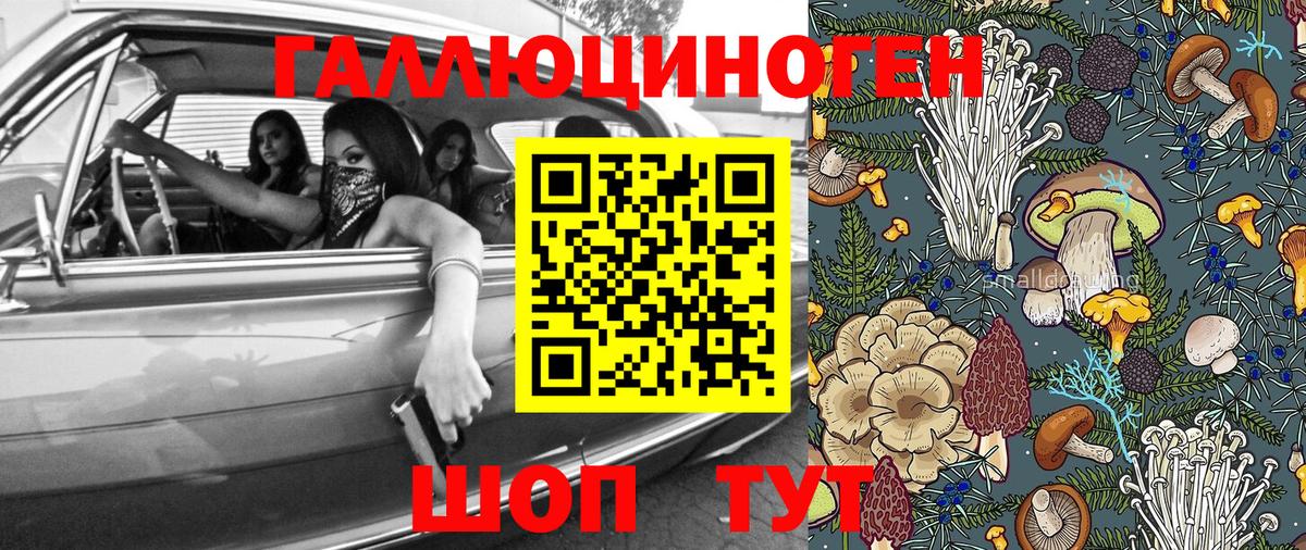 Псилоцибиновые грибы мухоморы Гусев